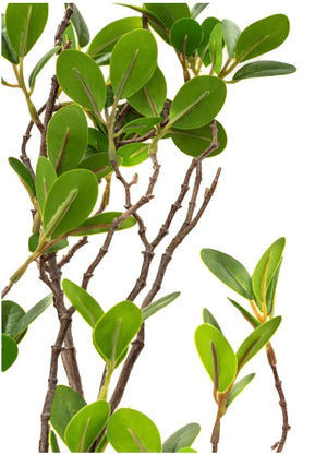 Artificial Aglaia Branch
